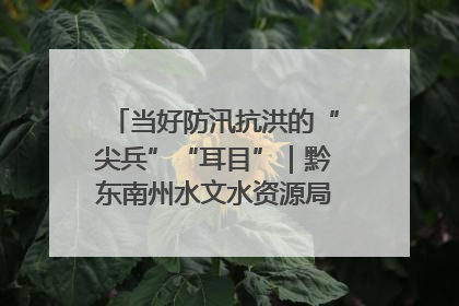 当好防汛抗洪的“尖兵”“耳目”｜黔东南州水文水资源局全员出动为此轮强降雨做好测报工作