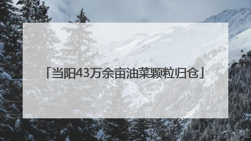 当阳43万余亩油菜颗粒归仓