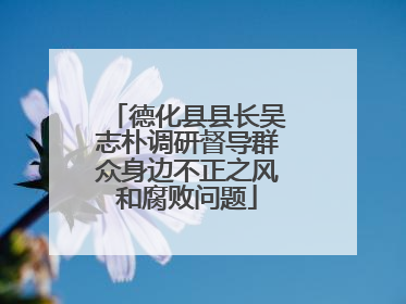 德化县县长吴志朴调研督导群众身边不正之风和腐败问题