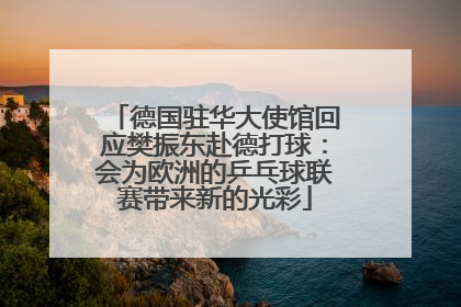 德国驻华大使馆回应樊振东赴德打球：会为欧洲的乒乓球联赛带来新的光彩