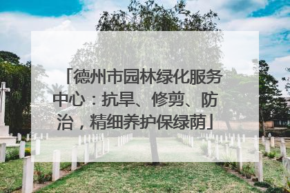 德州市园林绿化服务中心：抗旱、修剪、防治，精细养护保绿荫
