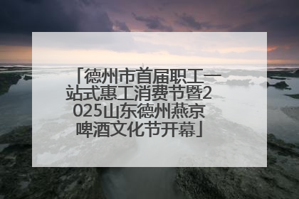 德州市首届职工一站式惠工消费节暨2025山东德州燕京啤酒文化节开幕