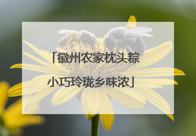 徽州农家枕头粽 小巧玲珑乡味浓