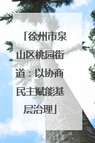 徐州市泉山区桃园街道：以协商民主赋能基层治理