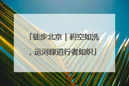 徒步北京｜碧空如洗，运河绿道行者如织