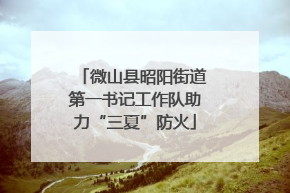 微山县昭阳街道第一书记工作队助力“三夏”防火