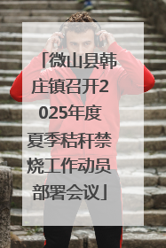微山县韩庄镇召开2025年度夏季秸秆禁烧工作动员部署会议