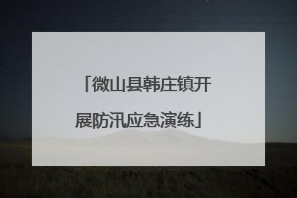 微山县韩庄镇开展防汛应急演练