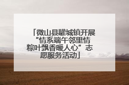 微山县驩城镇开展“情系端午邻里情 粽叶飘香暖人心”志愿服务活动