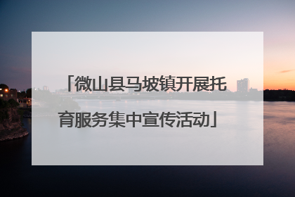 微山县马坡镇开展托育服务集中宣传活动