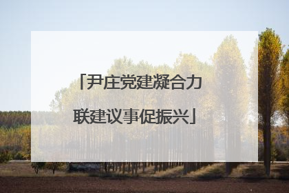尹庄党建凝合力 联建议事促振兴
