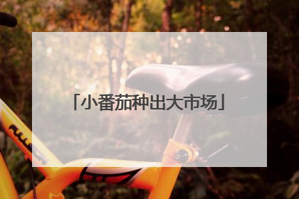 小番茄种出大市场