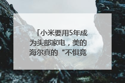 小米要用5年成为头部家电，美的海尔真的“不惧竞争”？｜热财经