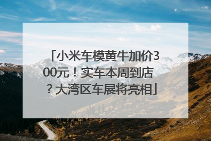 小米车模黄牛加价300元！实车本周到店？大湾区车展将亮相
