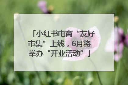 小红书电商“友好市集”上线，6月将举办“开业活动”