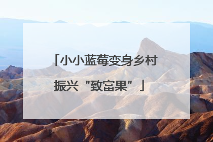 小小蓝莓变身乡村振兴“致富果”