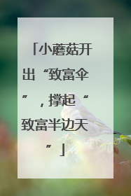 小蘑菇开出“致富伞”，撑起“致富半边天”