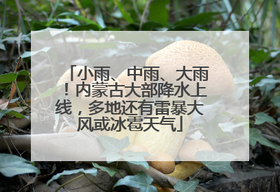 小雨、中雨、大雨！内蒙古大部降水上线，多地还有雷暴大风或冰雹天气