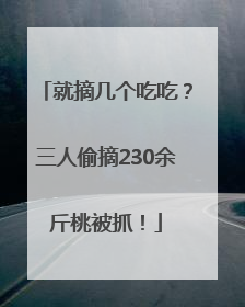 就摘几个吃吃？三人偷摘230余斤桃被抓！