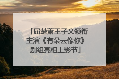屈楚萧王子文领衔主演《有朵云像你》剧组亮相上影节