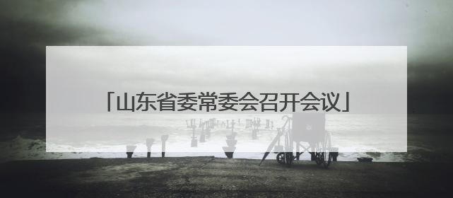山东省委常委会召开会议