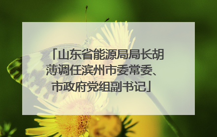 山东省能源局局长胡薄调任滨州市委常委、市政府党组副书记