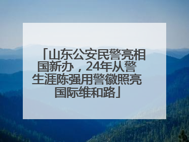 山东公安民警亮相国新办，24年从警生涯陈强用警徽照亮国际维和路
