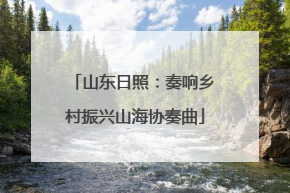 山东日照：奏响乡村振兴山海协奏曲