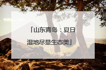 山东青岛：夏日湿地尽显生态美