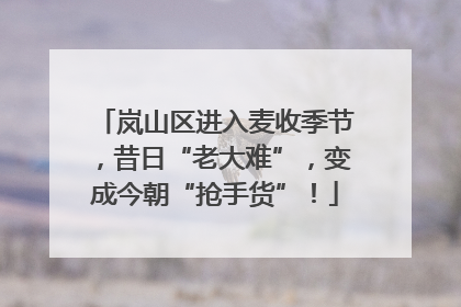 岚山区进入麦收季节，昔日“老大难”，变成今朝“抢手货”！