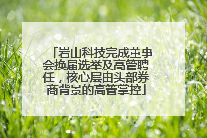 岩山科技完成董事会换届选举及高管聘任，核心层由头部券商背景的高管掌控