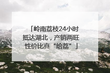 岭南荔枝24小时抵达湖北，产销两旺性价比真“给荔”