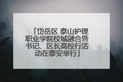 岱岳区 泰山护理职业学院校城融合暨书记、区长高校行活动在泰安举行