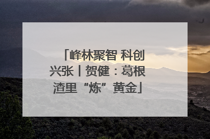 峰林聚智 科创兴张丨贺健：葛根渣里“炼”黄金