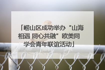 崂山区成功举办“山海相遇 同心共融”欧美同学会青年联谊活动