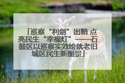 巡察“利剑”出鞘 点亮民生“幸福灯”——石鼓区以巡察实效绘就老旧城区民生新图景