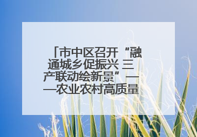 市中区召开“融通城乡促振兴 三产联动绘新景”——农业农村高质量发展新闻发布会