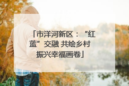 市洋河新区：“红蓝”交融 共绘乡村振兴幸福画卷