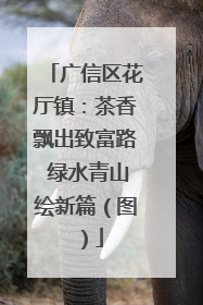 广信区花厅镇：茶香飘出致富路 绿水青山绘新篇（图）