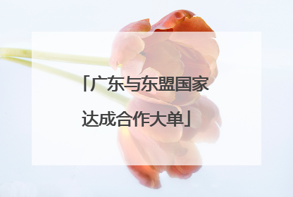 广东与东盟国家达成合作大单