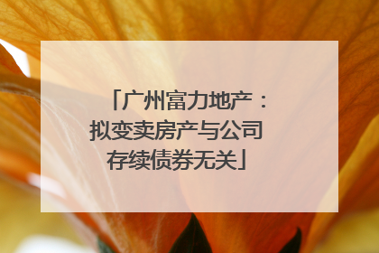 广州富力地产：拟变卖房产与公司存续债券无关