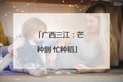 广西三江：芒种到 忙种稻