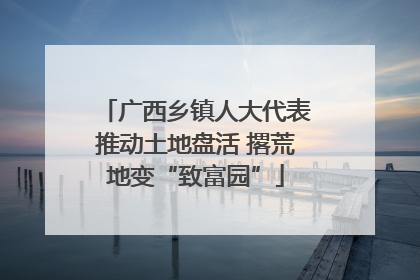 广西乡镇人大代表推动土地盘活 撂荒地变“致富园”