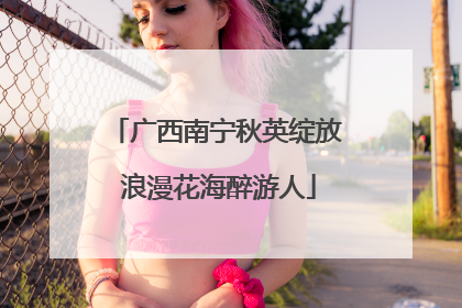 广西南宁秋英绽放 浪漫花海醉游人