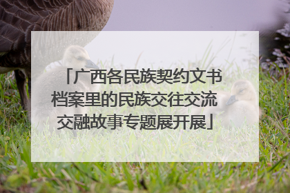 广西各民族契约文书档案里的民族交往交流交融故事专题展开展