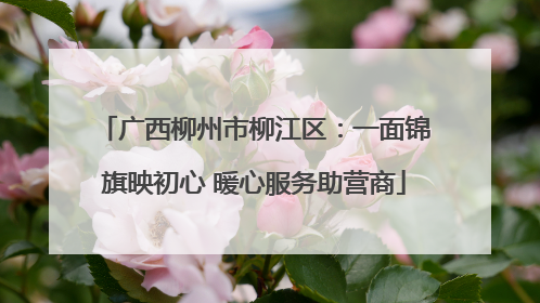 广西柳州市柳江区：一面锦旗映初心 暖心服务助营商