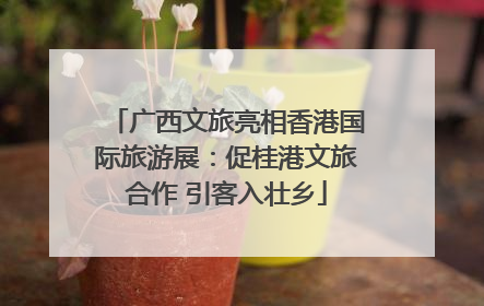 广西文旅亮相香港国际旅游展：促桂港文旅合作 引客入壮乡