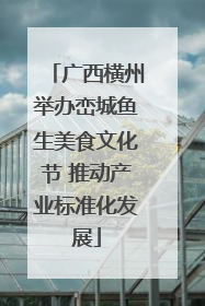 广西横州举办峦城鱼生美食文化节 推动产业标准化发展