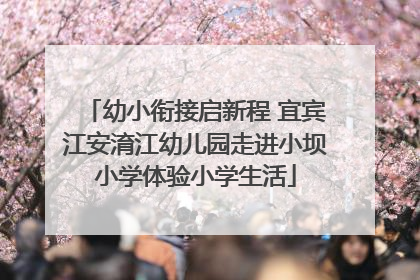 幼小衔接启新程 宜宾江安淯江幼儿园走进小坝小学体验小学生活