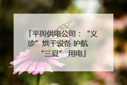 平舆供电公司：“义诊”烘干设备 护航 “三夏” 用电